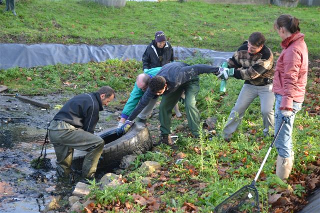 Action d'automne à Choisy le Roi le 21 octobre